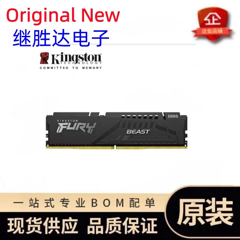 Kingston FURY Beast DDR5 Memor - Ddr5 16Gb 6000Mhz 评论和价格